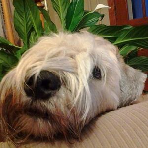 Meet your Posher, Valerie